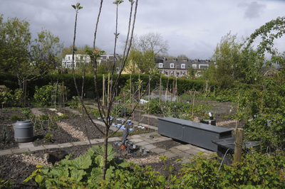 909712 Gezicht op het volkstuincomplex van Tuindersvereniging Abstede aan de Minstroom te Utrecht.